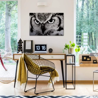 Proud Owl Aluminium print 