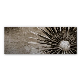 Dandelion Aluminium Print - Poetry - Panorama 