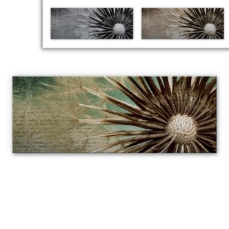 Dandelion Aluminium Print - Poetry - Panorama 