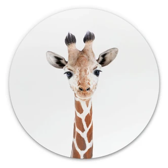 Alu-Dibond Wall Circle Sisi & Seb - Baby Giraffe 