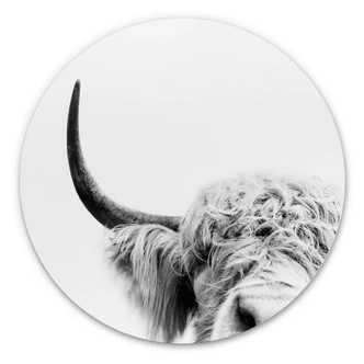 Alu-Dibond Wall Circle Sisi & Seb - Bull 