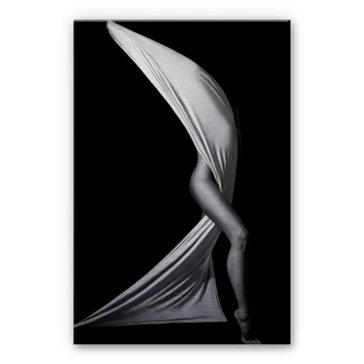 Erotica Aluminium print 