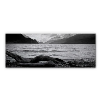 Log and Lake - Panorama Aluminium print 