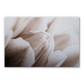 Tulip in Detail Aluminium print 
