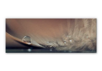 Dmitry Aluminium Print - Story of a Waterdrop 