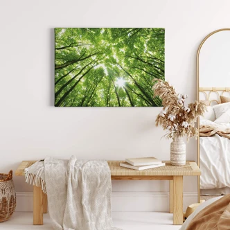 Sunny Forest 2 Canvas print 