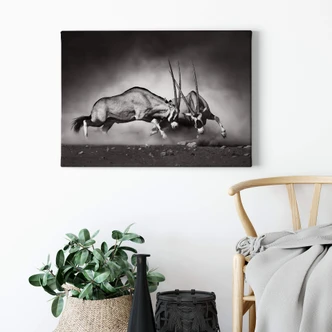 Duel Canvas print 