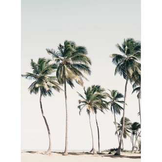 Wall Mural Beach wallpaper - tropical palm trees on the beach - Sisi & Seb 