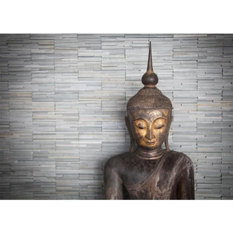 Thailand Buddha - Wall Mural 