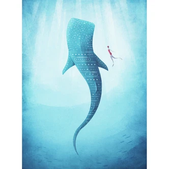 Wall Mural Rivers - The whale shark 