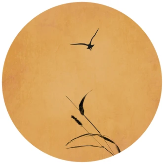 Round  Kubistika - Sunny Birds - non self-adhesive/self-adhesive wallpapers 