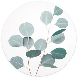 Round wall mural Sisi & Seb - Blue Eucalyptus - non self-adhesive/self-adhesive wallpapers 