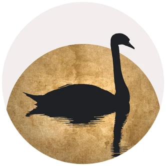 Round wall mural Kubistika - Swan Lake Full Moon - non self-adhesive/self-adhesive wallpapers 