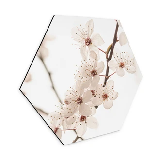 Hexagon Wall Art Branch with white cherry blossoms - Sisi & Seb - Alu-Dibond 