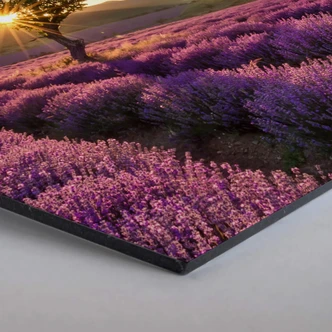 Hexagon - Alu-Dibond - Lavendel in de Provence  