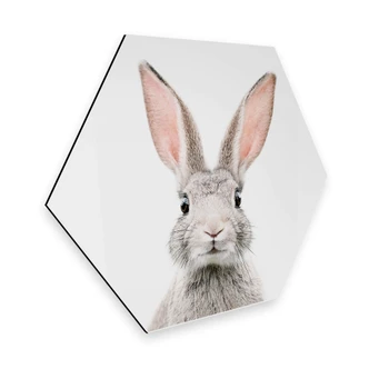 Hexagon Alu-Dibond - Sisi & Seb - Bunny 