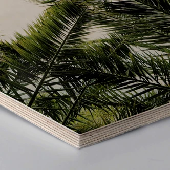 Hexagon wood - Palm Trees 