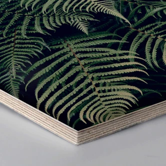 Hexagon wood - Fern 02 