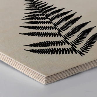 Hexagon wood - Fern 
