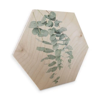 Hexagon - Wood - Birch veneer - Sisi & Seb - Eucalyptus 