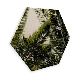 Hexagon wood - Palm Trees 