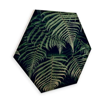 Hexagon wood - Fern 02 