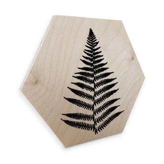 Hexagon wood - Fern 