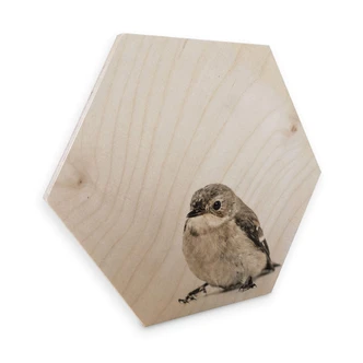 Hexagon wood - little bird 