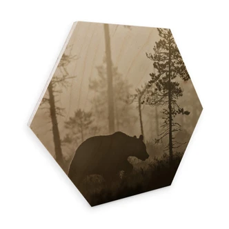 Hexagon Wood - Ove Linde - Foggy Morning 