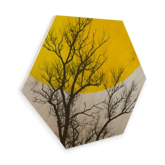 Hexagon - Wood - Birch veneer - Kubistika - Autumn Memories 