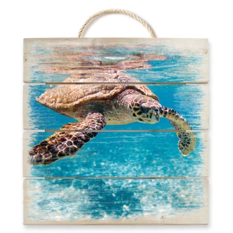 Swimming Turtle - Wood Print 