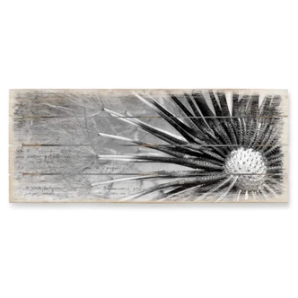 Dandelions-Poetry - Panorama Wood Print 