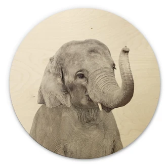 Wall Circle Wood Sisi & Seb - Baby Elephant 