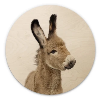 Wall Circle Wood Sisi & Seb - Baby Donkey 