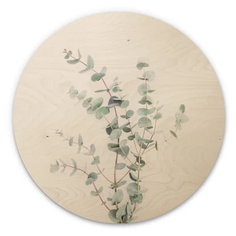 Wall Circle Wood Sisi & Seb - Eucalyptus Branch 