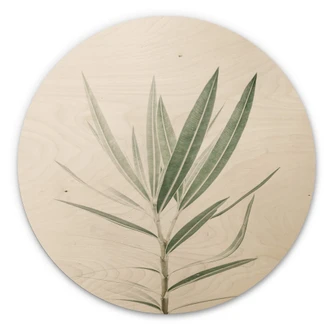 Wall Circle Wood Sisi & Seb - Oleander 