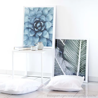 Poster Agave 02 