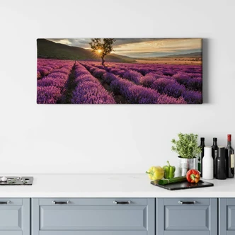 Lavender in the Provence 01 Canvas print panorama 