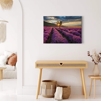 Lavender in the Provence Canvas print 