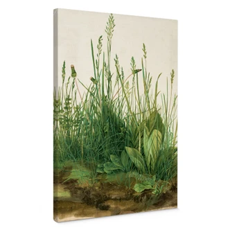Albrecht Dürer - Great Piece of Turf Canvas print 