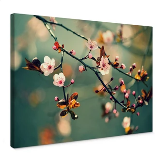 Awakening Spring Canvas print 