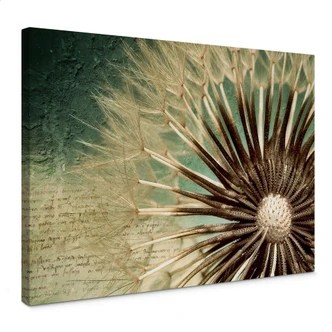 Dandelion Poetry Canvas print 