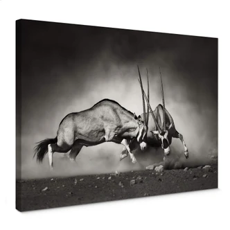 Duel Canvas print 