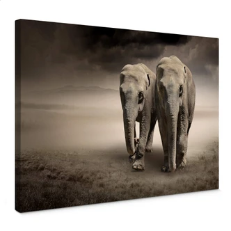 Elephants Canvas print 