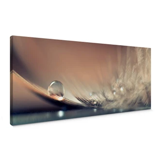 Dmitry - Story of a Waterdrop Canvas print 