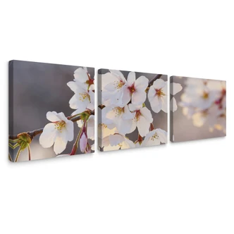Cherry Blossom Triptych Canvas print 