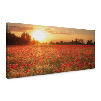 Flowers at Sunset Canvas print 