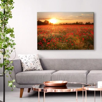 Poppy Field in Sunset Canvas print 