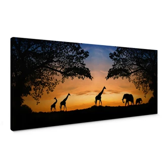 African Sunset Canvas print 