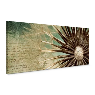 Dandelion Poetry - Panorama Canvas print 